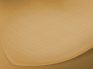 客户关系